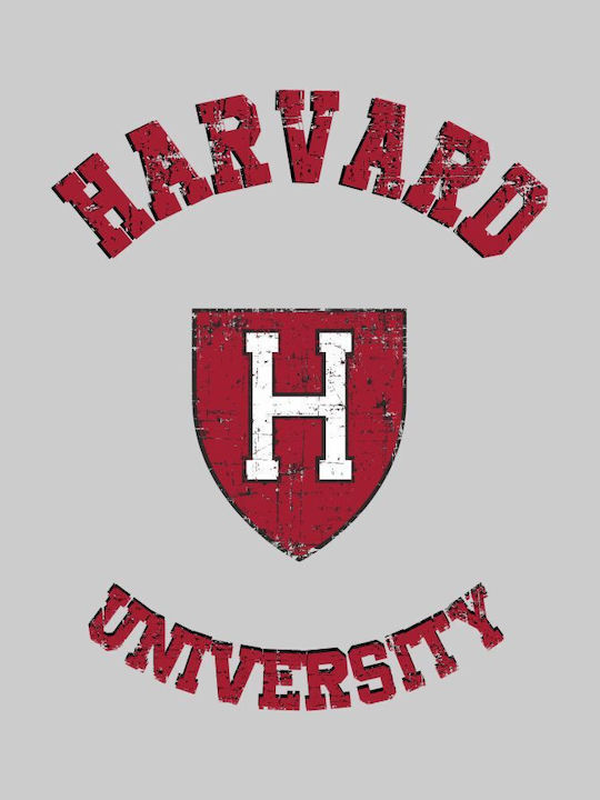 Harvard Hoodie (Replica) - WHITE