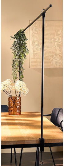 Mica Table Decoration for Party in Black Colour 136cm