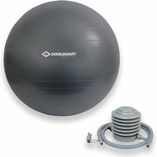 Schildkrot Μπάλα Pilates 85cm σε Γκρι Χρώμα