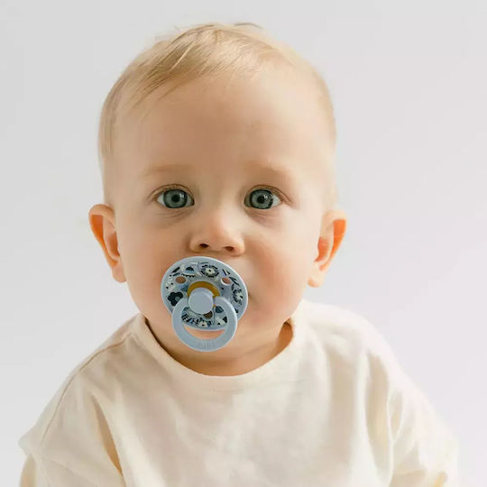 Bibs Bobo Pacifiers Rubber Dusty Blue for 0+ months 2pcs