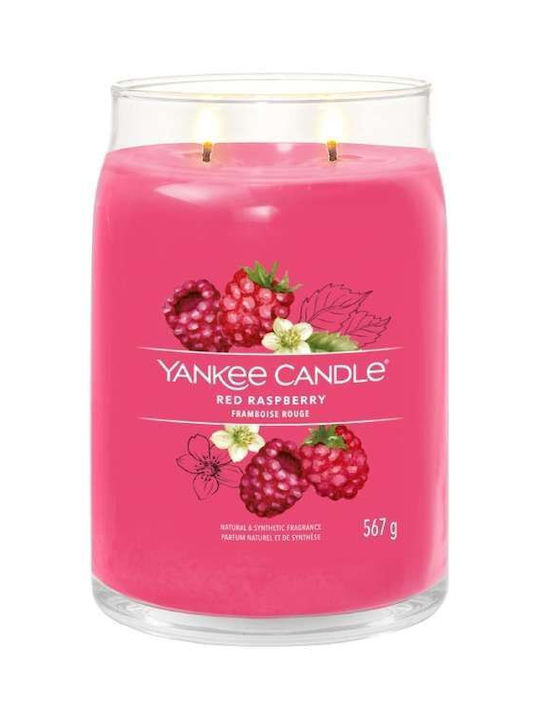 Yankee Candle Scented Candle Jar with Scent Red Raspberry Red 567gr 1pcs 1701375