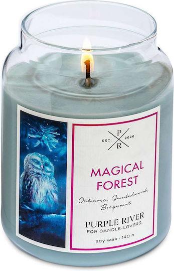 Purple River Aromatic Soy Candle in a Green Jar 623g