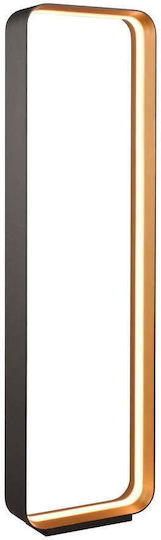 Cinque LED Floor Lamp Black