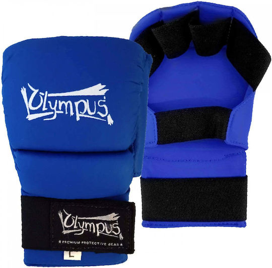 Olympus Sport Jiu-jitsu Blue 303520
