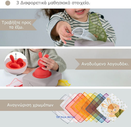 Taf Toys Sensorisch Pop Up Tissue Box für 12+ Monate