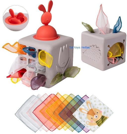 Educational Activity Toy Pop Up Tissue Box Taf Toys 13405