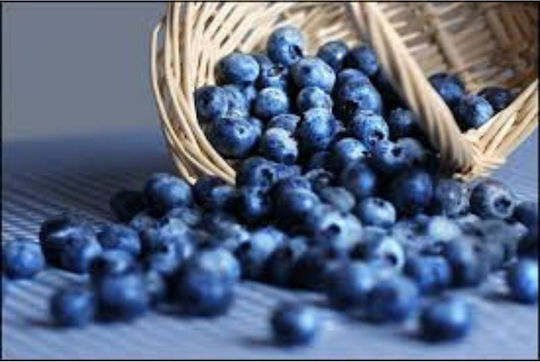 Fiordifrutta Βιολογική Μαρμελάδα Άγριο Μύρτιλο 250g 16679