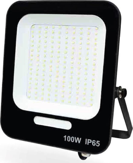 Lucas LED Στεγανός Προβολέας LED 100W Ψυχρό Λευκό 6400K IP66