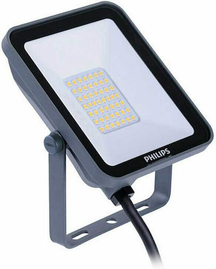 Philips Στεγανός Προβολέας LED 10W Φυσικό Λευκό 4000K IP65