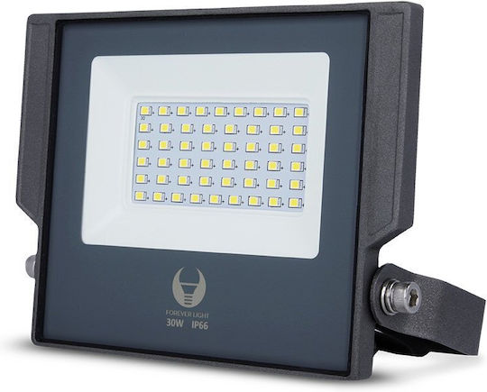 Forever Light Στεγανός Προβολέας LED 30W Ψυχρό Λευκό 6000K IP66