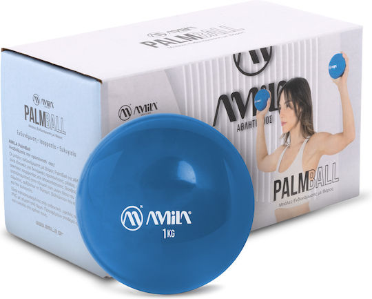 AMILA Balls Toning 1kg 2pcs in Blue Color