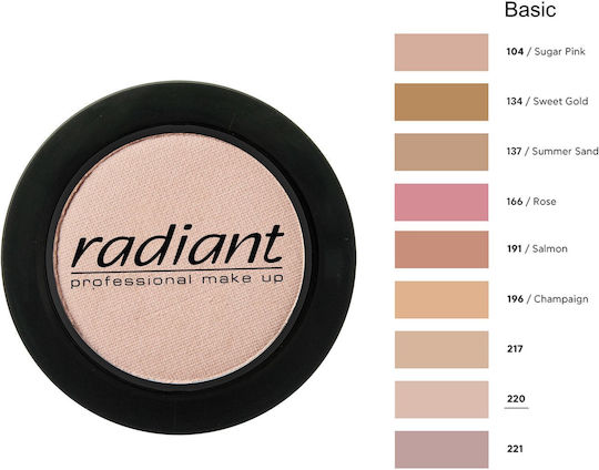 Radiant Professional Color Basic Eye Shadow in Solid Form 220 4gr