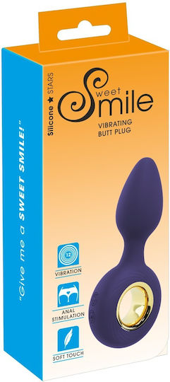 You2Toys Anal Plug with Vibration Small Blue