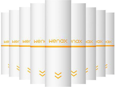 Geek Vape Wenax Replacement Filter in White color 1pcs