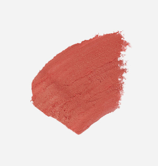 Chiara Ferragni Stick Ρουζ 03 5gr