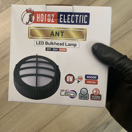 Horoz Electric Lumină de Exterior Montată pe Perete LED 6W 4000K