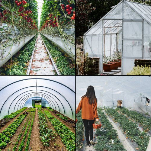Vevor PEWSM825FT0000001V0 Greenhouse Cover