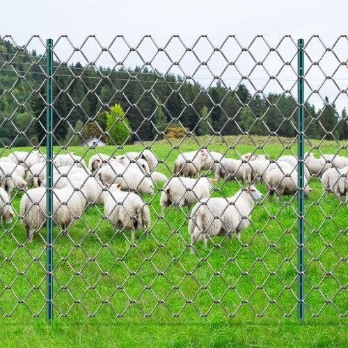 Vevor Πάσσαλος για Περίφραξη Κήπου από Μέταλλο 10τμχ Πράσινο