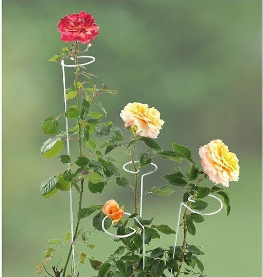 Flower Support Stake Strend Pro Metaltec Ps017-5 Metal 900 mm Height 200 mm Diameter 5.5 mm Pieces
