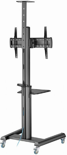 Gembird TVS-70T-02 TV Mount Floor up to 70kg Black