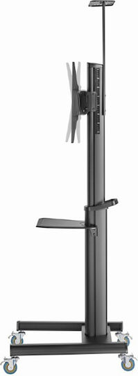 Gembird TVS-70T-02 Βάση Τηλεόρασης Δαπέδου έως 70kg Μαύρο