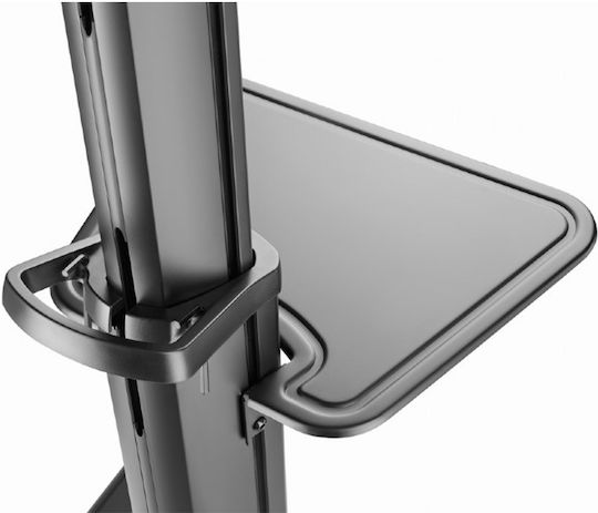 Gembird TVS-70T-02 Βάση Τηλεόρασης Δαπέδου έως 70kg Μαύρο