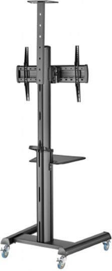 Gembird TVS-70T-02 Βάση Τηλεόρασης Δαπέδου έως 70kg Μαύρο