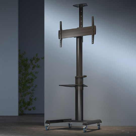Gembird TVS-70T-02 Βάση Τηλεόρασης Δαπέδου έως 70kg Μαύρο