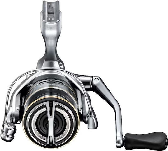 Shimano Sedona FJ Fishing Reel for English and Bolognese 500