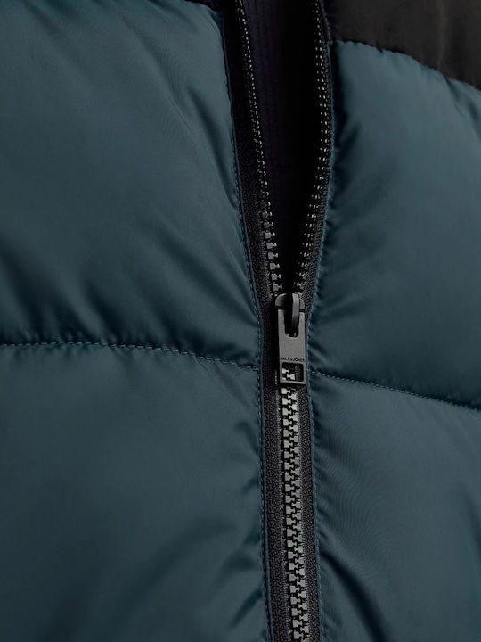 Jacket Magical Forest Multi