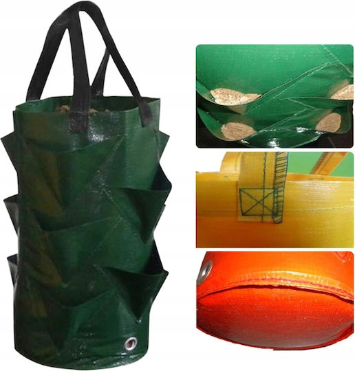 Pot Cascade Vegetables Hanging Truscumbers Poodle Pockets 35cm