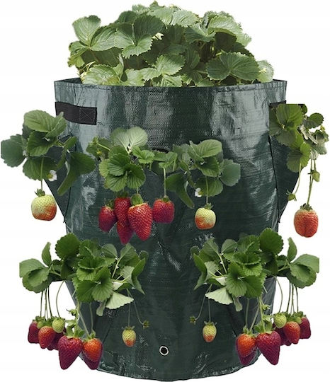 Pot Cascade Vegetables Hanging Truscumbers Poodle Pockets 35cm