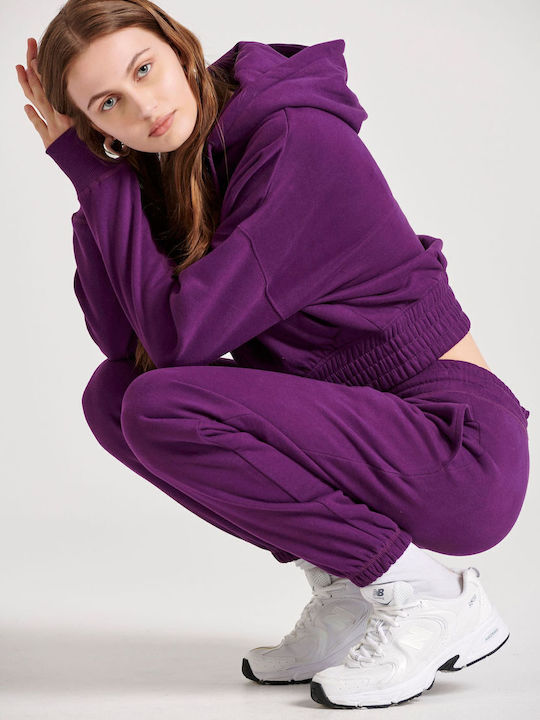 Sweatpants Jogger Purple