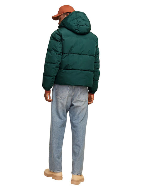 Jack & Jones Winter Jacket Puffer Magical Forest