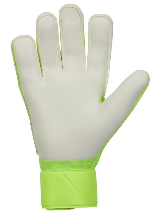 Nike Match Adults Goalkeeper Gloves Green