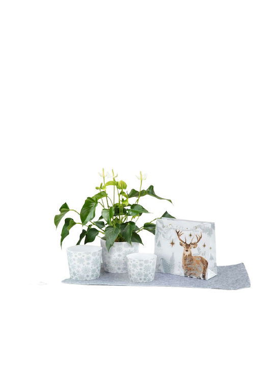 Коледна саксия Scheurich Silver Snow 870/11