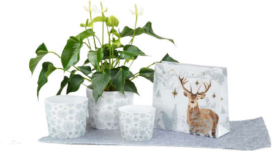 Χριστουγεννιάτικο Κασπώ Scheurich Silver Snow 870/11 Χριστουγεννιάτικο Κασπώ Scheurich Silver Snow 870/11