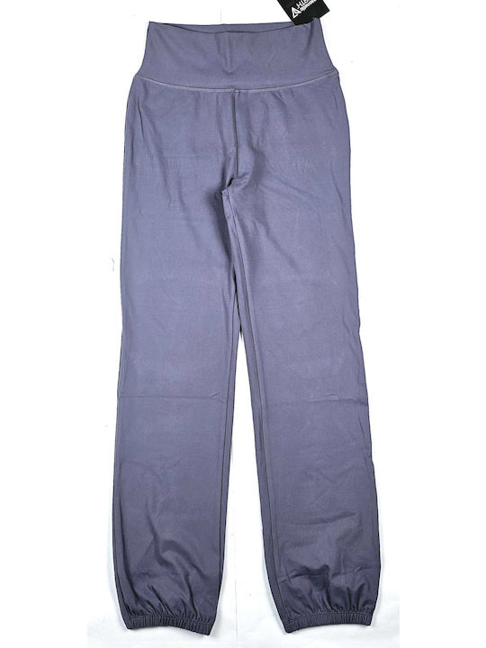 Magnetic North Sweatpants Blue Lilac