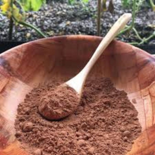 Terrasana Organic Product Cocoa Powder 160gr
