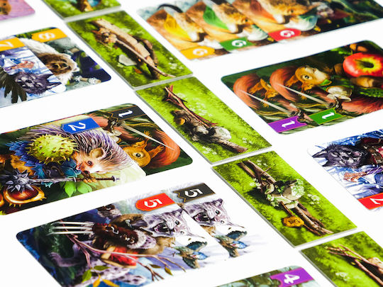 Muduko Tactical Card Game A Dispute Over Forest Gr0578