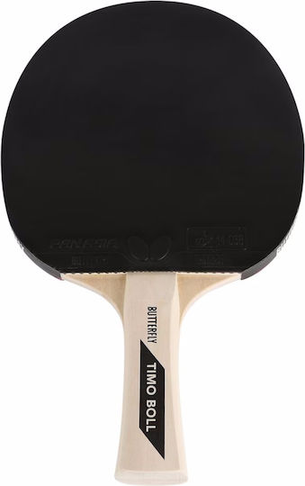 Butterfly Set Rachete Ping Pong