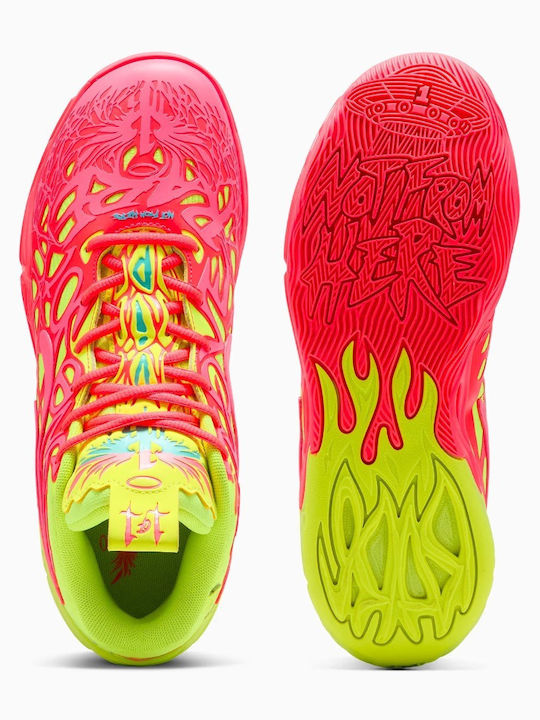 Niedrig Basketballschuhe Mehrfarbig
