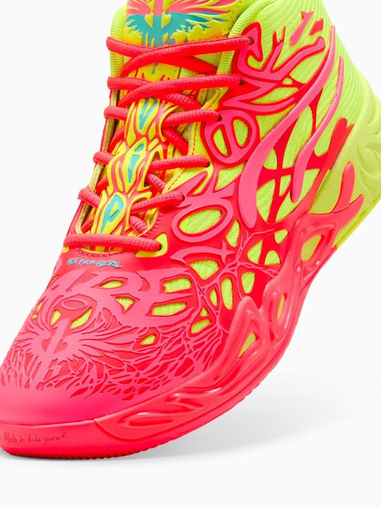 Niedrig Basketballschuhe Mehrfarbig