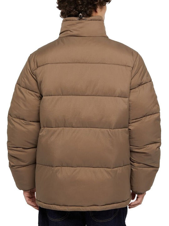 Dickies Dickies