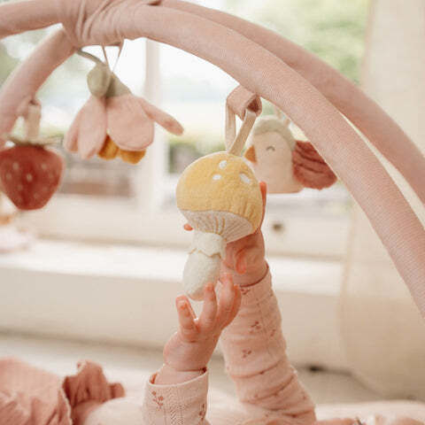 Little Dutch Fairy Garden Baby-Spieldecken und -Gyms Aktivitätsgym für 6+ Monate