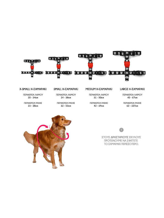 Zee-Dog H-harness X-Small / Medium / Small / Large