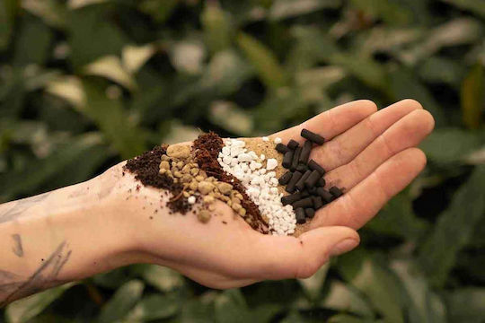 Planting Substrate 5lt CactiSucculentMix5lt