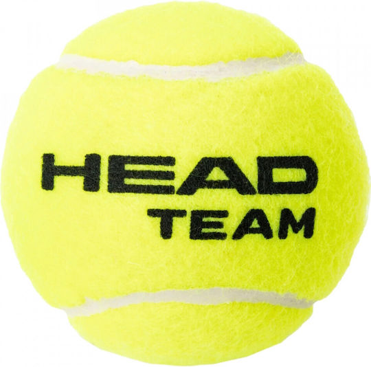 Head Team Tennisbälle 3 Stück