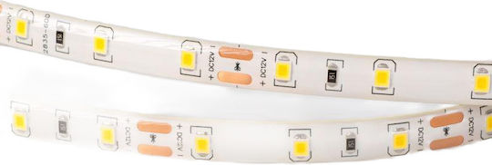 Eco Light LED-Streifen 12V Natürliches Weiß Licht 5m Typ SMD2835