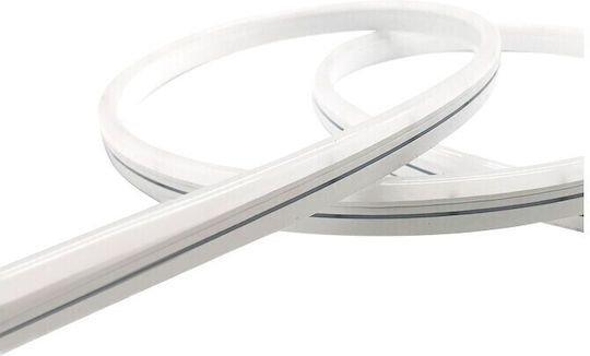 Geyer Rezistent la apă Bandă LED 24V Alb Natural Lumină 5m Neon Flex